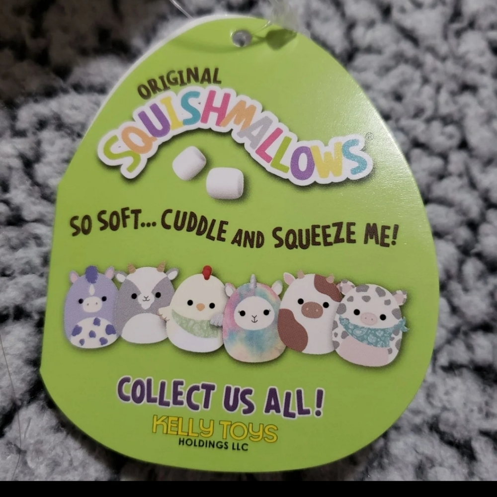 Squishmallows Charity The Chick 5" Plush NWT Kellytoy Easter stuffed animal - Picture 3 of 5